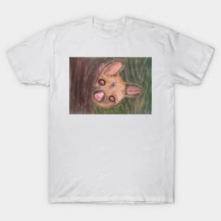 Pygmy Possum. An Australian native animal T-Shirt